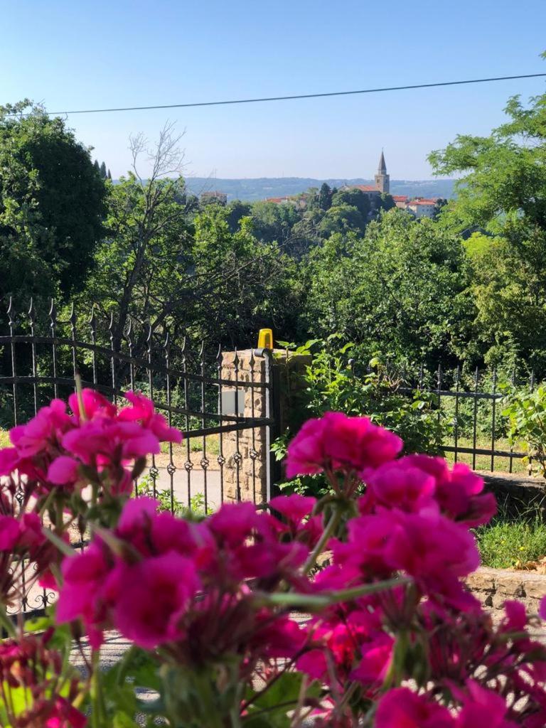 Apartman Villa Romana Grožnjan Exterior foto
